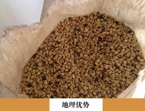 云南省普洱農產品批發供應與價格分析 惠農網助力產銷對接